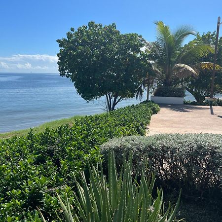 פורטמור Bayfront Villa & Apartment מראה חיצוני תמונה